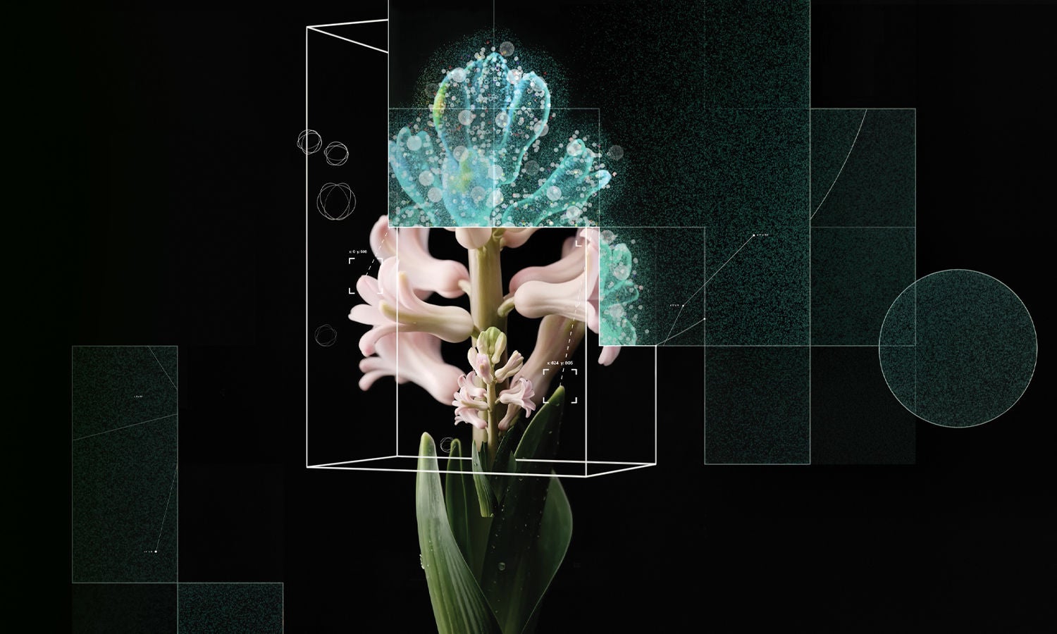 A hyacinth flower on black, its bloom dissolving into teal particles and measurement overlays — the invisible layer that powers AI